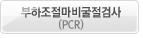 부하조절마비굴절검사(PCR)