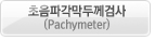 초음파각막두께검사(Pachymeter)